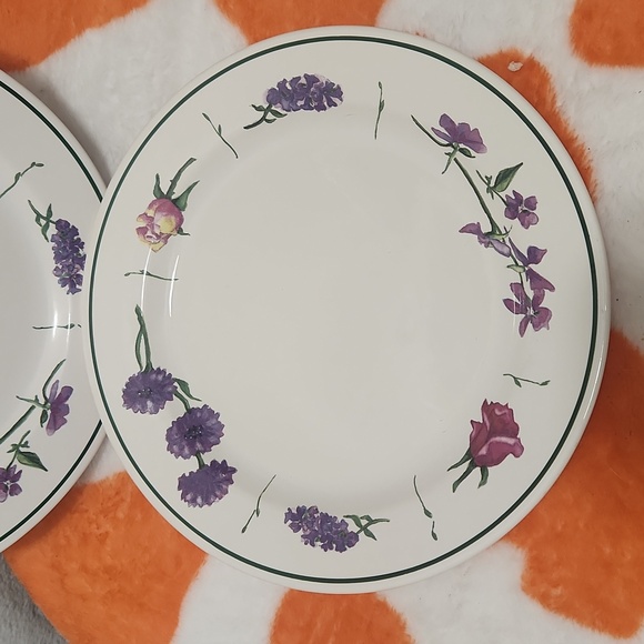 Williams-Sonoma LE JARDIN Salad Plates Portugal 9" Set of 2 - Picture 2 of 6